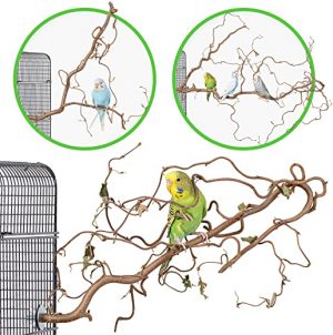 3 verschnörkelte Korkenzieherhasel Action Sitzstangen – das perfekte Vogelzubehör für Ihren Vogelkäfig