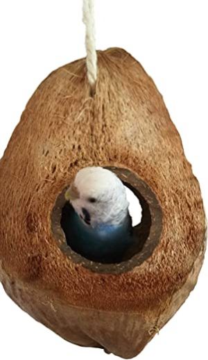 Einzigartige Vogelschaukel aus Kokosnuss mit Fruchtschale zum Knabbern. Natur- Vogelspielzeug für Wellensittich Nymphensittich und alle Anderen…