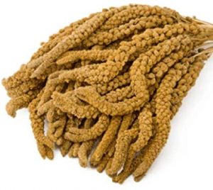 Eurital Kolbenhirse 1 kg gelb – für Kanarien, Wellensittiche, Vögel und Hühner