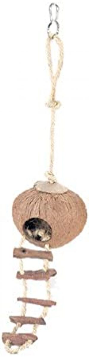 Europet Bernina 533-133392 Kokosnuss Kugelhaus mit Leiter und Seilbefestigung, 13 cm