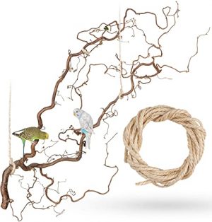 Große Korkenzieherhasel Sitzstange zum Aufhängen mit toll verschnörkelten Zweigen | Der wohl Beste Vogelspielplatz für Wellensittich,…