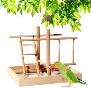 Holzsammlung Holz-Vogelpapageien-Spielstand/Spielplatz/Turnhalle/Aktivitätszentrum/Spielzeugset, Sitzstangen, Leitern und Schaukel, für Eclectus…