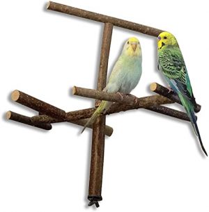 Käfigantenne, Cooles Vogelspielzeug als Anflugstange oder Sitzplatz aus Naturholz