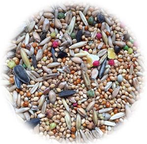 Lyra Pet® 25 kg Nymphensittichfutter Großsittichfutter Ziervögel Vogelfutter Großsittiche Halsbandsittich Sittiche Sittichfutter Vögel