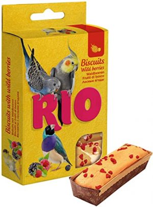 RIO Biscuits für alle Vogelarten mit Waldbeeren, 35 g, 22190, 35 g (1er Pack)