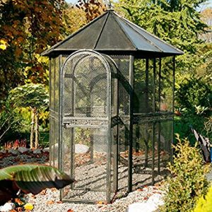 Vogel-Voliere Bird’s Paradise