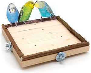 Vogelgaleria Eck Sitzbrett 20x20cm mit Natur Holz Bordüre für Vögel wie Nymphensittich Wellensittich Kanarien etc | Bestes Käfig Zubehör…