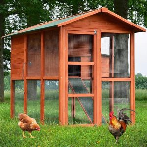 zooprinz hochwertige Hühnervoliere mit Nistkasten – aus massivem Vollholz und stabilem Draht – Hühnerstall schnell zu reinigen -…