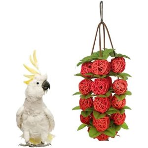 Haustier Vogel Rattanbälle Spielzeug, Rattanbälle Papagei Sittich Kauspielzeug, DIY Vogelzubehör Spielzeug Papagei Ara Grau Grau Käfig Zubehör…