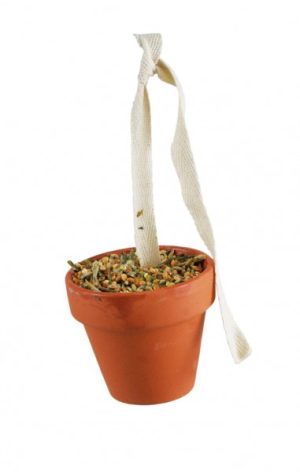 JR FARM Birds Tontöpfchen Wellensittich & Kanarien 80g Vogelsnack