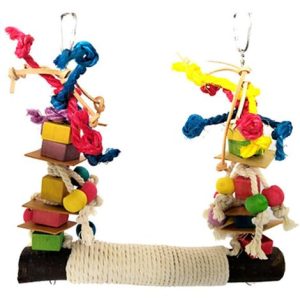 Papageienspielzeug, Vogelspielzeug für Vögel, Papageien, Schaukel, Kauspielzeug aus Naturholz, zum Aufhängen,Vögel Spielzeug Holz Glocke Vogel…