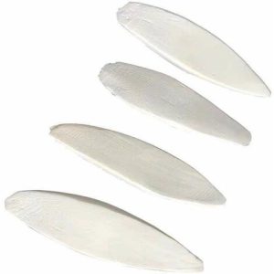 Tintenfischknochen Vögel Tintenfischknochen für Sittich,Kauspielzeug für Sittichvögel,Vogel Tintenfisch kaut Spielzeug,Tintenfisch Knochen Calcium…