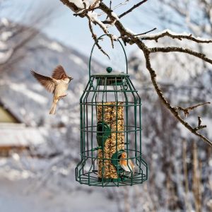 Windhager Futterspender