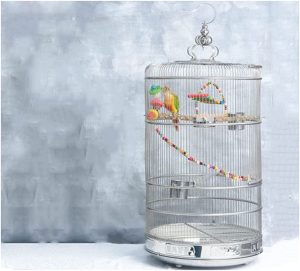 Vogelvoliere großer Vogelkäfig Edelstahl mutiger Vogelkäfigpapagei großer Vogelkäfig mit Feeder und Pole kann for Sittiche, Kanarien, Liebesvögel…