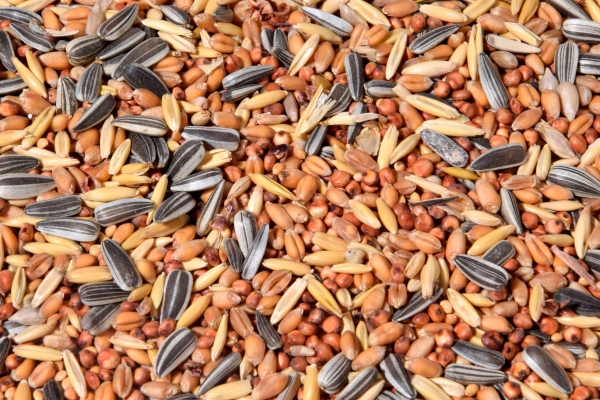 dobar Vogelfutter »Streufutter«, (Set), 20 kg