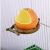 Fruchtform Vogelfutterspender mit Cliphalter Käfig Tierfutter Wassernapf Papagei Vogelfutter Box Ara Sittich Sittich Lovebird Conure Finch,Orange