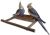 Handgemachtes Sitzbrett mit Naturholz – Anflugstange | Wellensittich Zubehör für die Voliere oder den Vogelkäfig